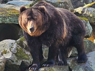 Exkurze do zoologické zahrady v Děčíně