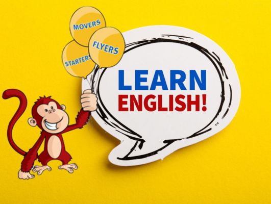 Výuka angličtiny