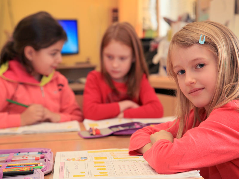 Podpora společného vzdělávání v pedagogické praxi